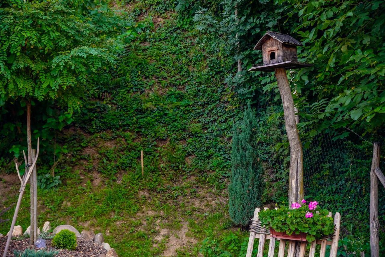 Villa Etno Kuca Todorovic à Smederevo Extérieur photo