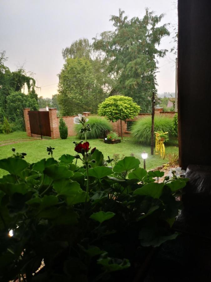 Villa Etno Kuca Todorovic à Smederevo Extérieur photo
