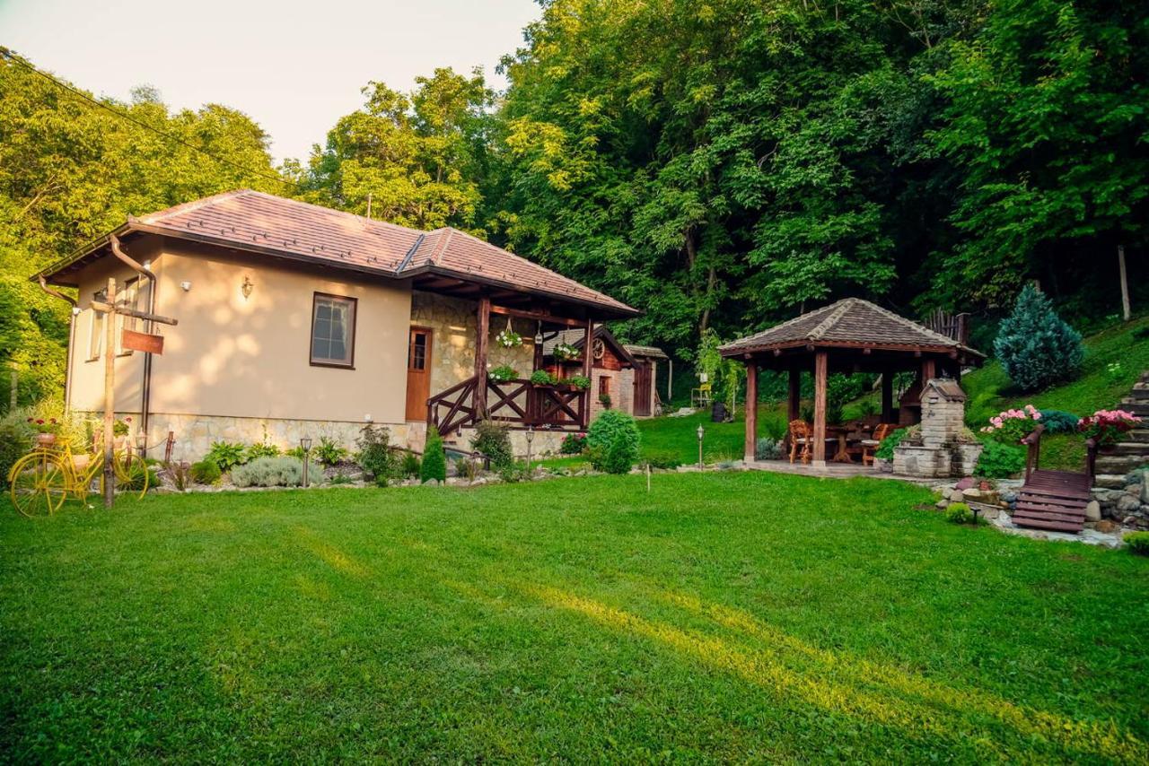 Villa Etno Kuca Todorovic à Smederevo Extérieur photo