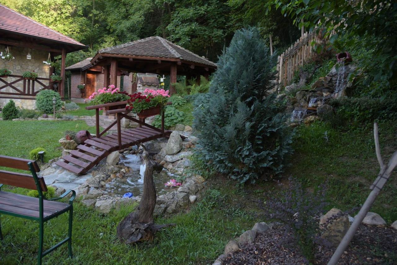Villa Etno Kuca Todorovic à Smederevo Extérieur photo
