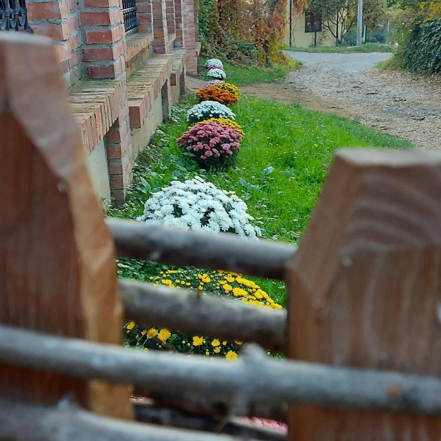 Villa Etno Kuca Todorovic à Smederevo Extérieur photo