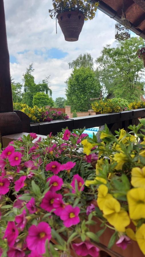 Villa Etno Kuca Todorovic à Smederevo Extérieur photo